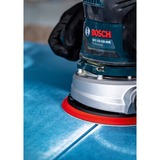 Bosch Professional Expert C470 Schleifblatt, Ø 150mm, K100 Multilochung 50 Stück, für Exzenterschleifer