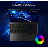 Medion  ERAZER Beast 16 X15 Ultimate (MD600068), Gaming-Notebook schwarz, AMD Ryzen 9 9955HX, NVIDIA GeForce RTX 5090, 32 GB DDR5, 1 TB (1 TB SSD), Windows 11 Home