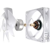 ASUS ProArt PF120, Gehäuselüfter weiß, 120 mm
