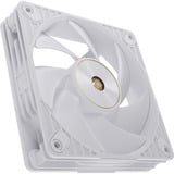 ASUS ProArt PF120, Gehäuselüfter weiß, 120 mm