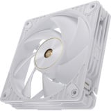 ASUS ProArt PF120, Gehäuselüfter weiß, 120 mm