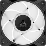 ARCTIC P12 Pro A-RGB LN, Gehäuselüfter schwarz, 120 mm
