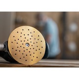 Bosch Professional Expert C470 Schleifblatt, Ø 150mm, K120 Multilochung 50 Stück, für Exzenterschleifer