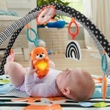 Fisher-Price Spieldecke mit Spielbogen, Licht & Musik, Spielbogen/Decke 