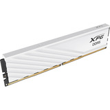 ADATA DIMM 32 GB DDR5-6000, Arbeitsspeicher weiß, AX5U6000C2832G-SLABWH, XPG Lancer Blade, INTEL XMP, AMD EXPO