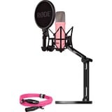 NT1 Signature +XLR-Kabel+Desktop Studio Arm , Mikrofon