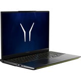 Medion ERAZER Beast 16 X1 Ultimate (MD600089), Gaming-Notebook schwarz, Intel® Core™ Ultra 9 290HX Plus, NVIDIA GeForce RTX 5080, 32 GB DDR5, 1 TB (1 TB SSD), Windows 11 Home