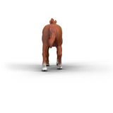 Schleich Horse Club Englisches Vollblut Hengst, Spielfigur 