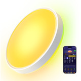 Govee 38cm Intelligente RGBICWW Deckenleuchte Pro, LED-Leuchte 
