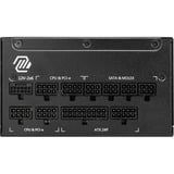MSI MAG A1250GL PCIE5, PC-Netzteil schwarz, 1250 Watt