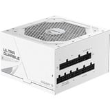 GIGABYTE GP-UD1000GM PG5 V2 ICE, PC-Netzteil weiß, 1x 12-Pin High Power GPU, 5x PCIe, Kabel-Management, 1000 Watt