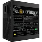 GIGABYTE GP-UD750GM PG5 V2 750W, PC-Netzteil schwarz, 1x 12-Pin High Power GPU, 4x PCIe, Kabel-Management, 750 Watt