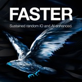 Seagate SkyHawk 1 TB, Festplatte SATA 6 Gb/s, 3,5"
