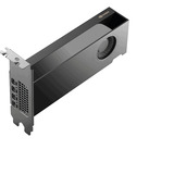 PNY NVIDIA RTX PRO 2000 Blackwell Generation 16GB SB, Grafikkarte Bulk
