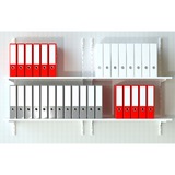 fischer Spreizdübel SX Plus 8x40 S K hellgrau, 10 Stück, mit Schraube