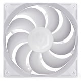ENDORFY Stratus 120 PWM ARGB, Gehäuselüfter weiß, 120 mm