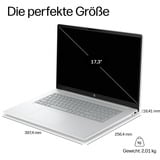 HP OmniBook 3 17-dg0053ngx, Notebook silber, Intel® Core™ Ultra 5 225U, Intel® Graphics, 12 GB DDR5, 512 GB (512 GB SSD), Windows 11 Pro
