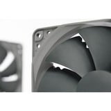 Noctua NF-P12 redux-1700 PWM, Gehäuselüfter 120 mm