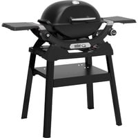 Weber Gasgrill Q 1200N mit Stand schwarz, 2,93 kW, mit Seitentischen