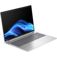 HP EliteBook 6 G1a (AD3J4ET), Notebook silber, AMD Ryzen 7 250, AMD Radeon 780M, 16 GB DDR5, 512 GB (512 GB SSD), Windows 11 Pro