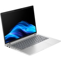 HP ProBook 4 G1a (AD2N2ET), Notebook silber, AMD Ryzen 7 250, AMD Radeon 780M, 32 GB DDR5, 1 TB (1 TB SSD), Windows 11 Pro